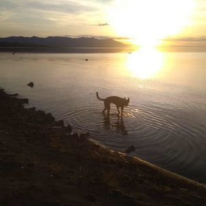 Meet your Posher, Monique